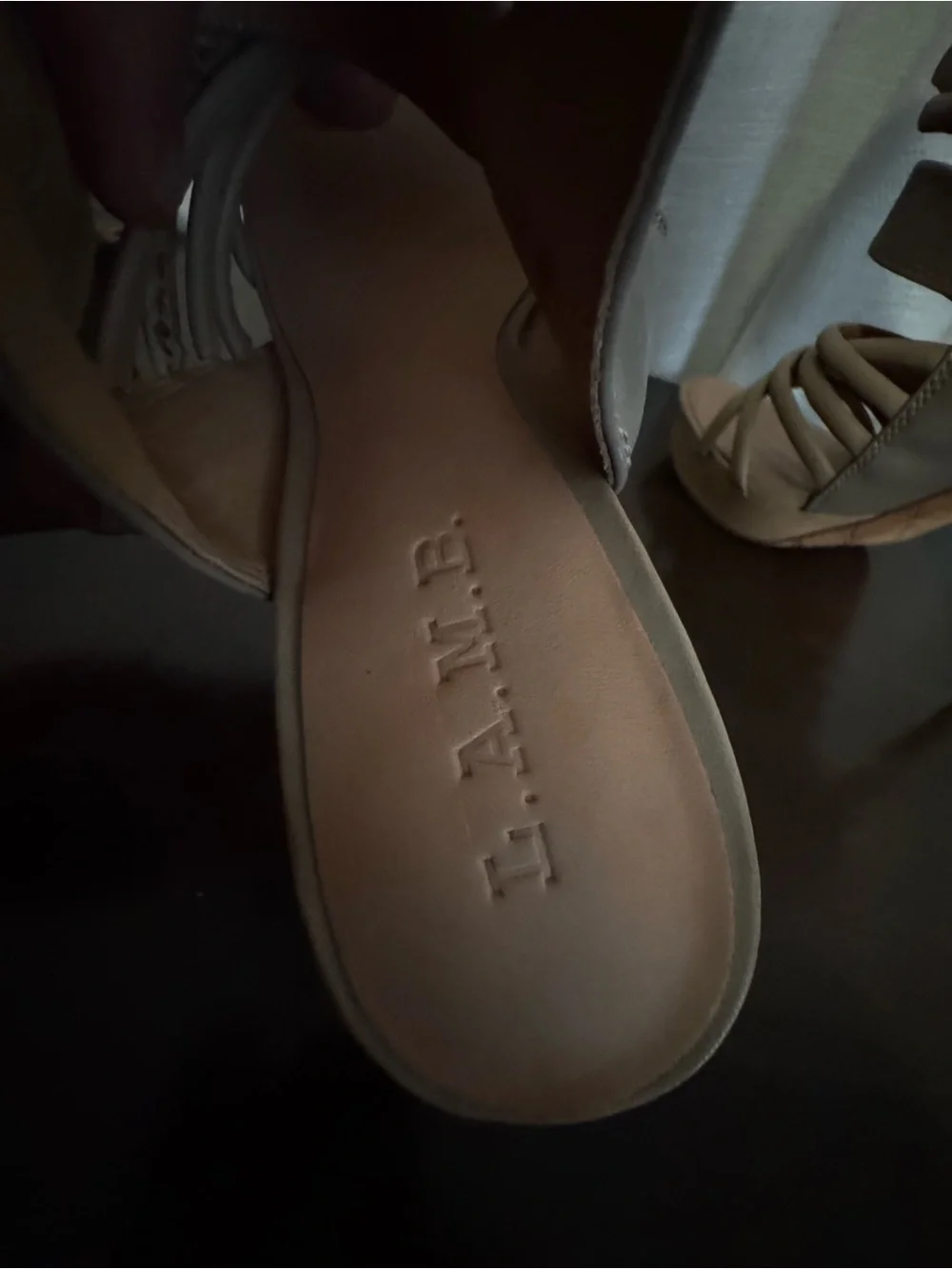 L.A.M.B. Strappy High Heel Sandals in Taupe